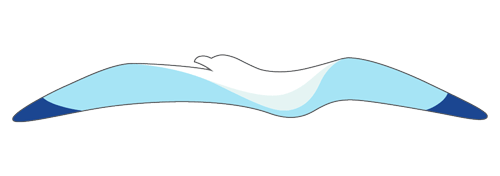 John Yancey Logo Bird Icon